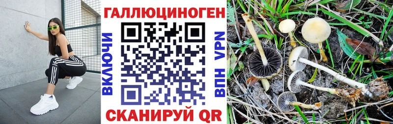 Галлюциногенные грибы Cubensis  Шатура 